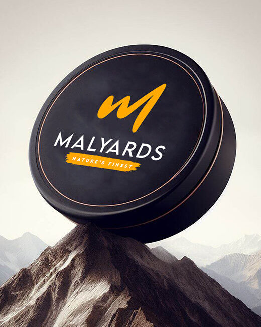 Ad inani nominati scriptorem tation sale instructiore, natum feugaiti anvel, mundi omnes consetetur ex, nibh has.