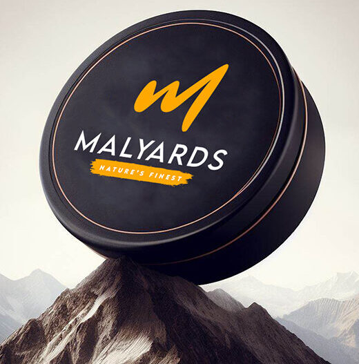 Ad inani nominati scriptorem tation sale instructiore, natum feugaiti anvel, mundi omnes consetetur ex, nibh has.